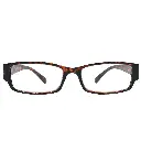 r3025_brown_front_1.webp