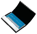 VPS-1011.webp