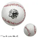 BSBL1.webp