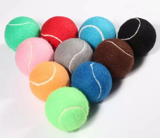 [A699] Fetch Tennis Ball
